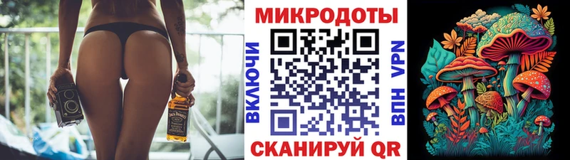 Галлюциногенные грибы Psilocybine cubensis  Покровск 